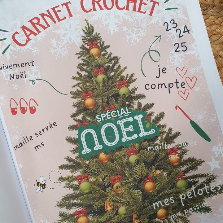 Mon Carnet Crochet Spécial Noël - Jeune Mamie Crochet